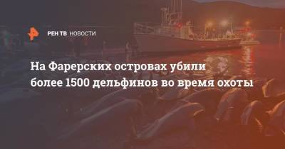 На Фарерских островах убили более 1500 дельфинов во время охоты