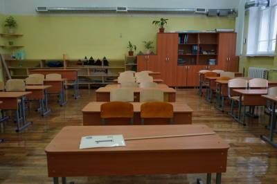 Все больше классов школ Петербурга переходят на дистанционное обучение