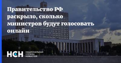 Правительство РФ раскрыло, сколько министров будут голосовать онлайн