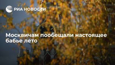 Центр "Фобос": потепление в Центральной России начнется с 27 сентября