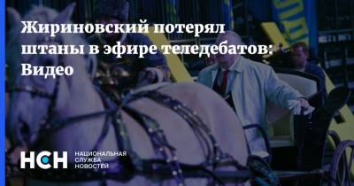 Жириновский потерял штаны в эфире теледебатов: Видео