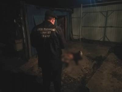 В Баклушах мужчина зарезал приятеля и спрятал тело в погребе - ulpravda.ru - район Павловский