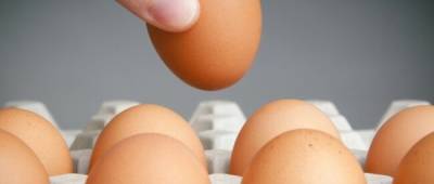 Польза и вред яиц: ученые рассчитали оптимальное количество