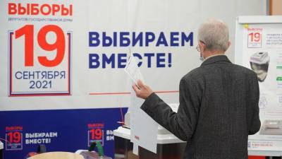 Эксперт отметил очень высокую явку на выборах в Москве благодаря электронному голосованию