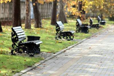 В Ленинском районе Ижевска планируют благоустроить Южный парк