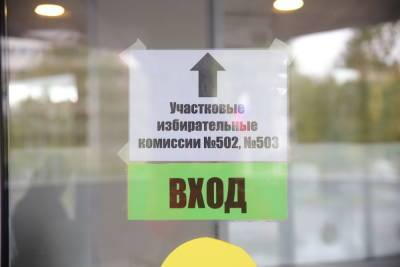 Памфилова призвала возбудить уголовное дело на избирательном участке в Петербурге