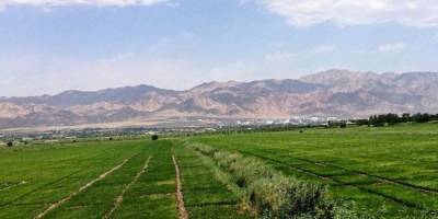 Политик назвал самый сложный участок на границе Киргизии и Таджикистана