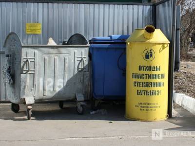 Нижегородцы попросили установить дополнительные контейнеры для мусора