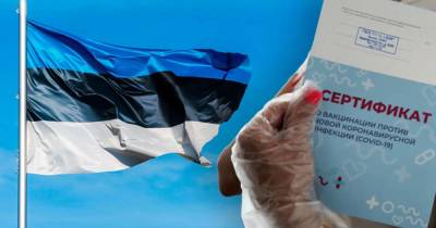 Иммунолог объяснил разрешение Эстонии на въезд привитых вакцинами РФ