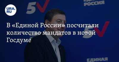 В «Единой России» посчитали количество мандатов в новой Госдуме