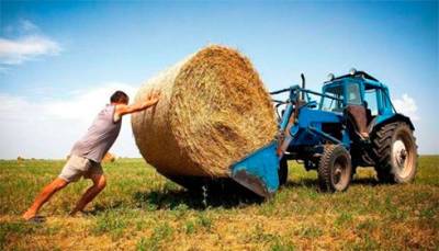 Семейные фермерские хозяйства впервые получили компенсацию ЕСВ - Минагро