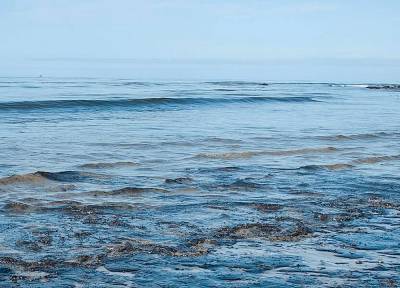 На Кубани в порту «Тамань» произошел крупный разлив мазута в Черное море