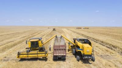 Казахстан рассматривает возможность увеличения поставок зерна в Китай