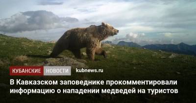 В Кавказском заповеднике прокомментировали информацию о нападении медведей на туристов