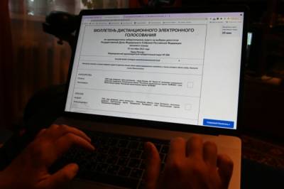 Герман Клименко - Эксперт отметил надежность и прозрачность онлайн-голосования - aif.ru - Москва