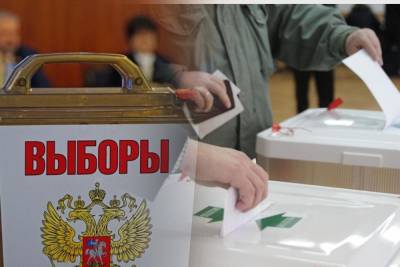 Председатель краевой Общественной палаты оценила ход выборов на Кубани