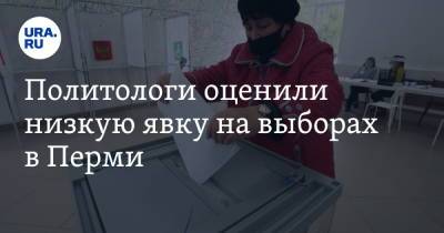 Политологи оценили низкую явку на выборах в Перми