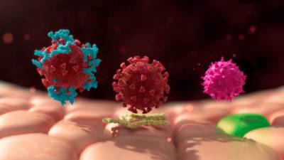 Ученые нашли препараты, блокирующие размножение коронавируса