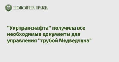 "Укртранснафта" получила все необходимые документы для управления "трубой Медведчука"