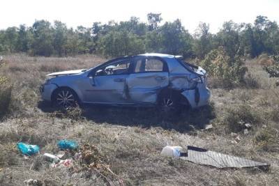 В Ростовской области 63-летняя женщина погибла в ДТП из-за осы