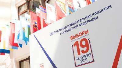 Политолог объяснил повышенный интерес к выборам в Ленинградской области