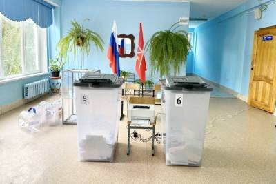 Алексей Дюмин лидирует по итогам выборов: предварительные данные ЦИК