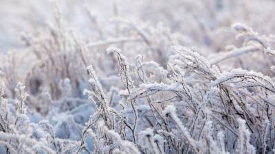 Климатолог Терешонок озвучил прогноз на предстоящую зиму в России