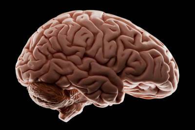 Мозг работает хуже после COVID-19 из-за перемещения сосудов в голове