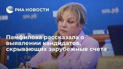 Глава ЦИК Памфилова рассказала о выявлении кандидатов, скрывающих зарубежные счета