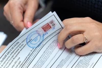 Явка на выборах в Госдуму во всех регионах России составила 25,64%