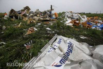Родственник погибшей пассажирки MH17 призвал давить на США