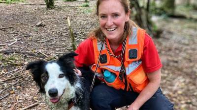 Собака-герой помогла найти пропавшего человека всего через несколько часов после того, как ее назначили спасателем