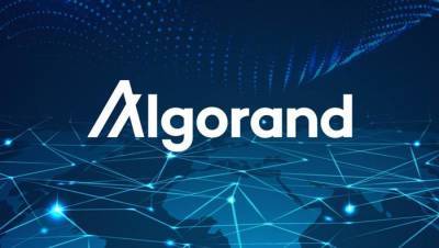 Обзор криптовалюты Algorand: как работает блокчейн и каковы перспективы токена ALGO?