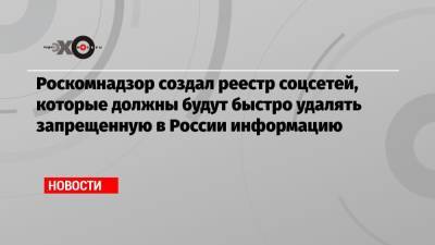 Роскомнадзор создал реестр соцсетей, которые должны будут быстро удалять запрещенную в России информацию