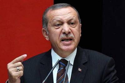 Отказу Эрдогана признавать Крым российским нашли неожиданное объяснение