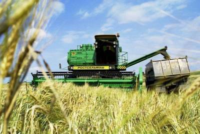 Минсельхоз заявил об отсутствии дефицита твердой пшеницы в России