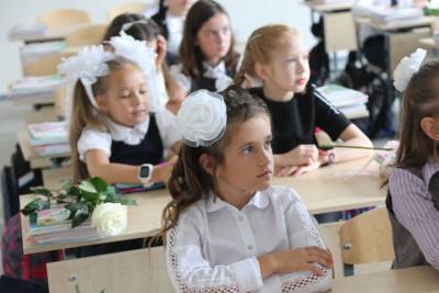 Ирина Добрецова - Стулья в российских школах предложили заменить ковриками - vm.ru - Москва - Россия