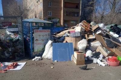 Поселки под Оренбургом зарастают мусором