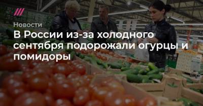 В России из-за холодного сентября подорожали огурцы и помидоры
