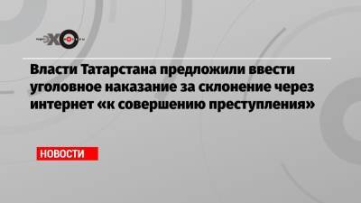 Власти Татарстана предложили ввести уголовное наказание за склонение через интернет «к совершению преступления»