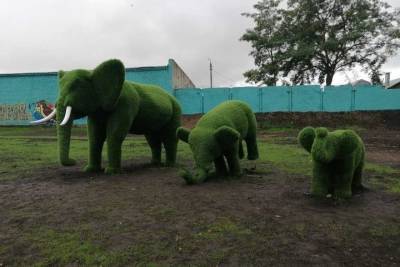 В парке Дзержинского в Курске топиарный слон повалился в грязь