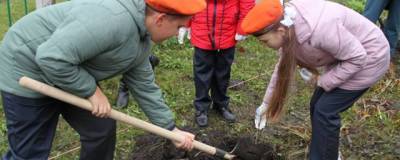 В Новосибирской области заложили аллею в честь спасателей МЧС