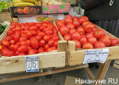 В России из-за погодных условий подорожали огурцы и помидоры
