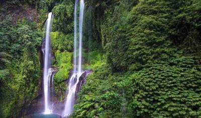 Лучшие водопады Бали: описание, фото, как добраться?