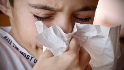 Иммунолог Продеус перечислил влияющие на развитие детской аллергии факторы