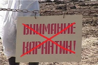 В Костромской области отменен карантин по оспе мелкого рогатого скота