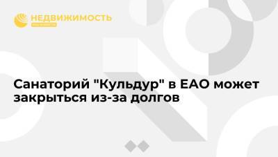 Власти ЕАО: санаторий "Кульдур" может закрыться из-за долгов в 60 миллионов рублей