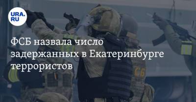 ФСБ назвала число задержанных в Екатеринбурге террористов