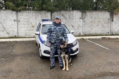 В Тверской области собака помогла найти телефон ребенка
