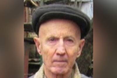 На Дону пропал без вести 81-летний дедушка